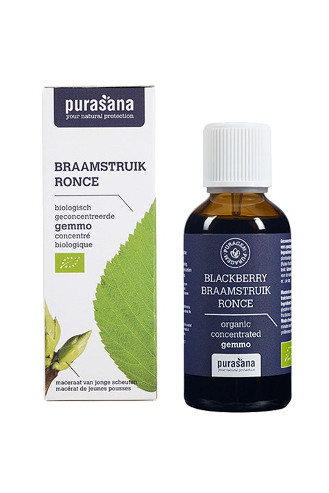 Puragem Braamstruik