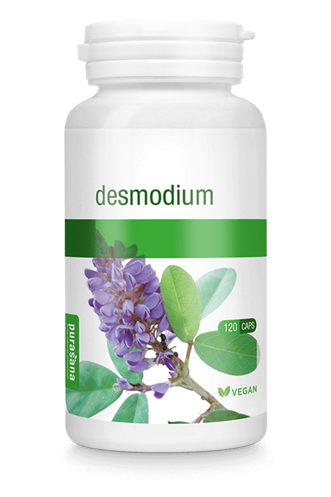 Desmodium