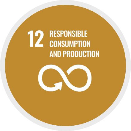 12: Reponsible consumption and production