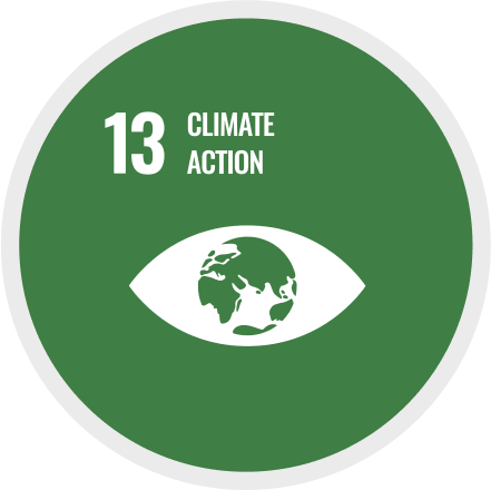 13: Climate action