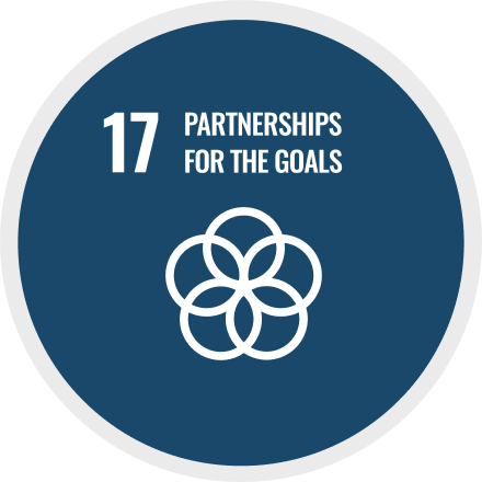 17: Partnerships for the goals