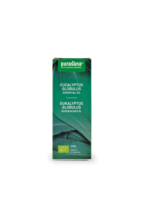 Huile d'eucalyptus globulus