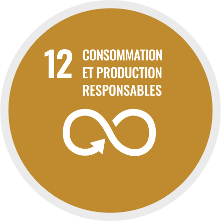 12: Consommation et production resposables