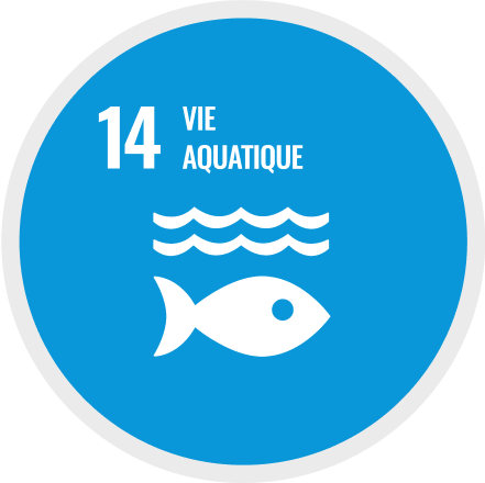 14: Vie aquatique