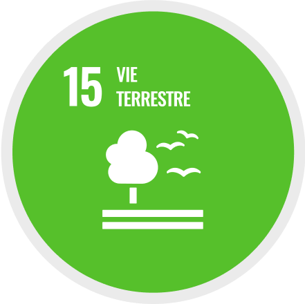 15: Vie terrestre