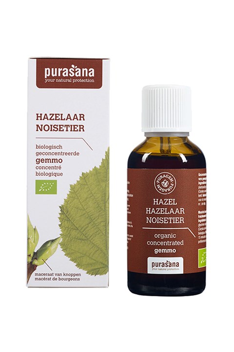 Puragem Hazelaar