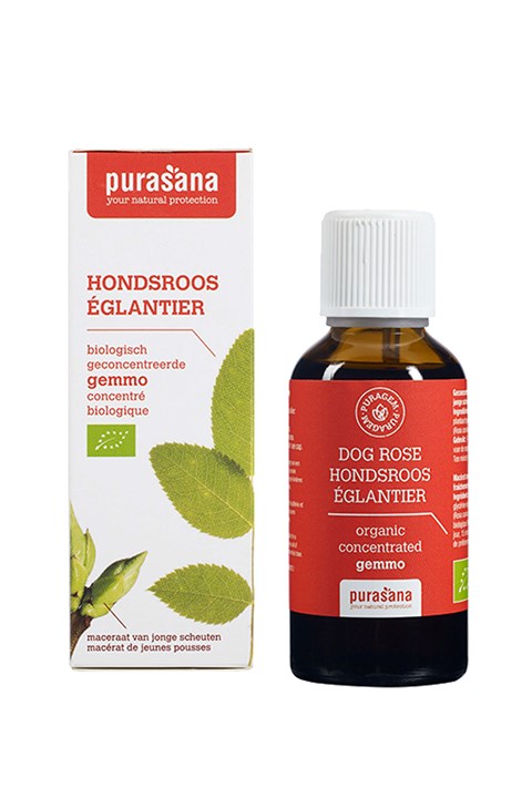 Puragem Hondsroos
