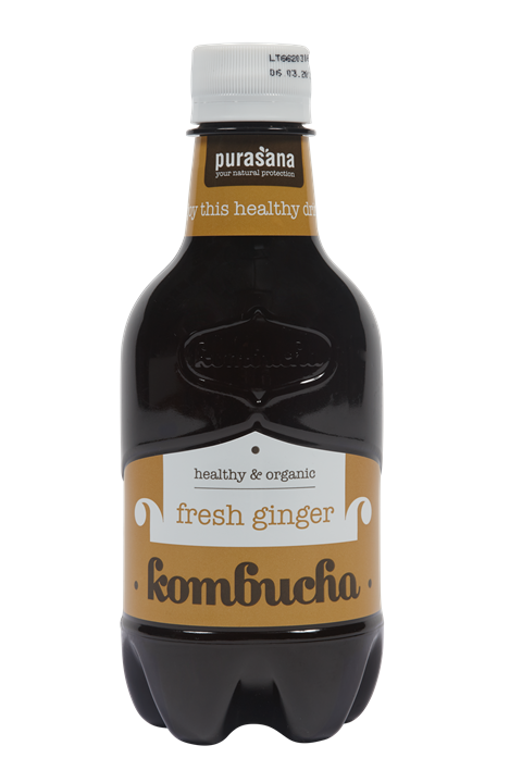 Kombucha gingembre frais
