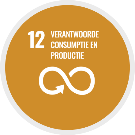 12: Verantwoorde consumptie en productie