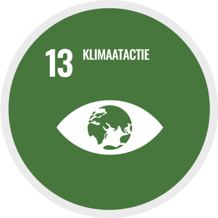 13: Klimaatactie