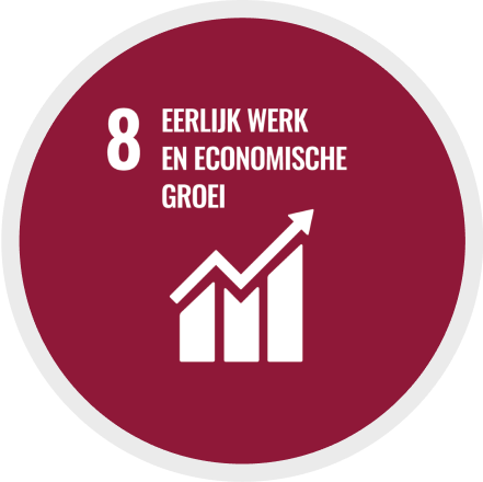 8: Eerlijk werk en economische groei