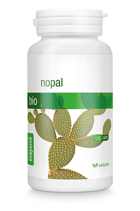 Nopal