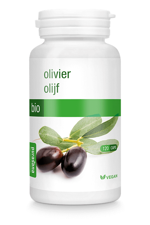 Olijf
