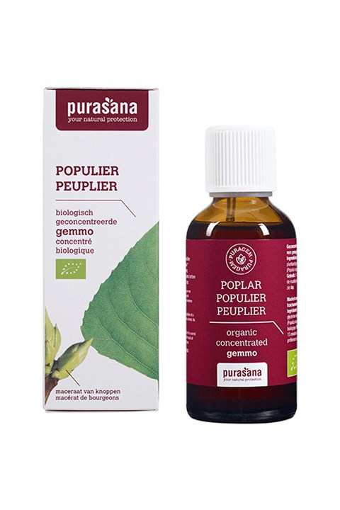 Puragem Populier