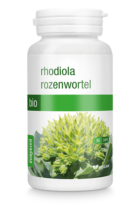 Rozenwortel
