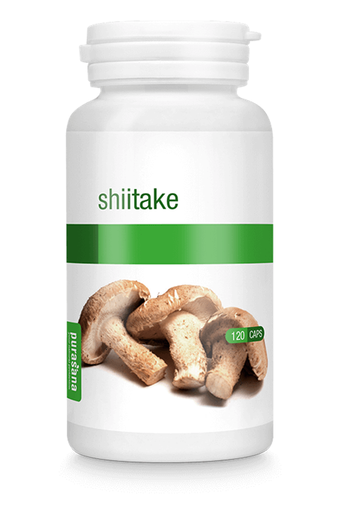 Shiitake