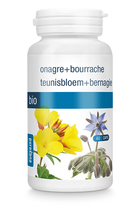 Teunisbloem & Bernagie