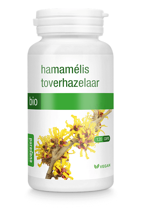 Hamamélis