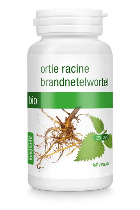 Brandnetelwortel