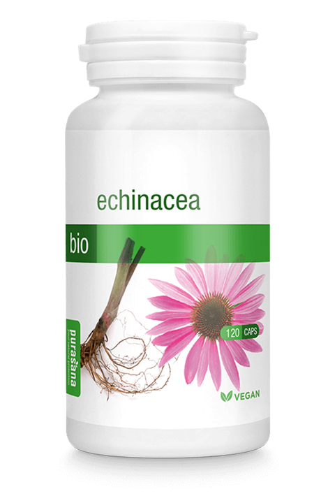 Echinacea