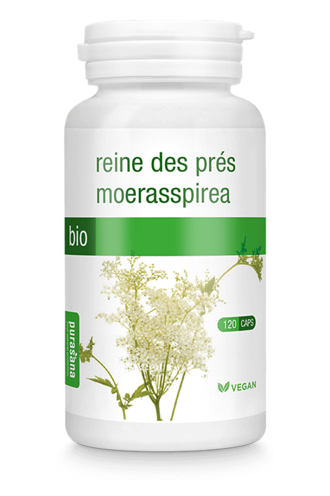 Moerasspirea