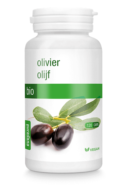 Olijf