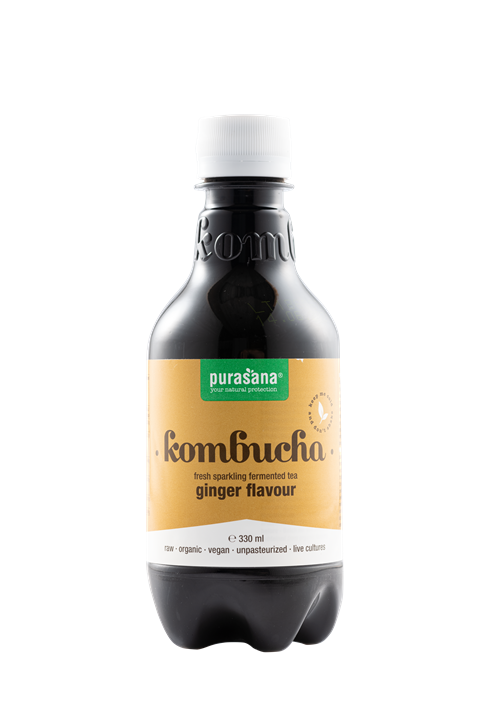 Kombucha fresh ginger