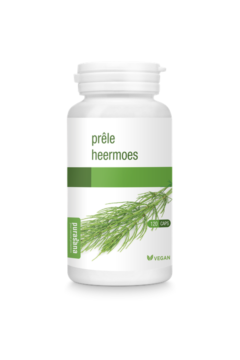 Heermoes