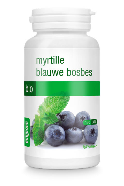 Blauwe bosbes