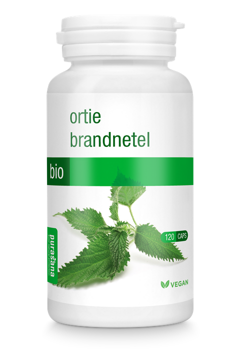 Brandnetel