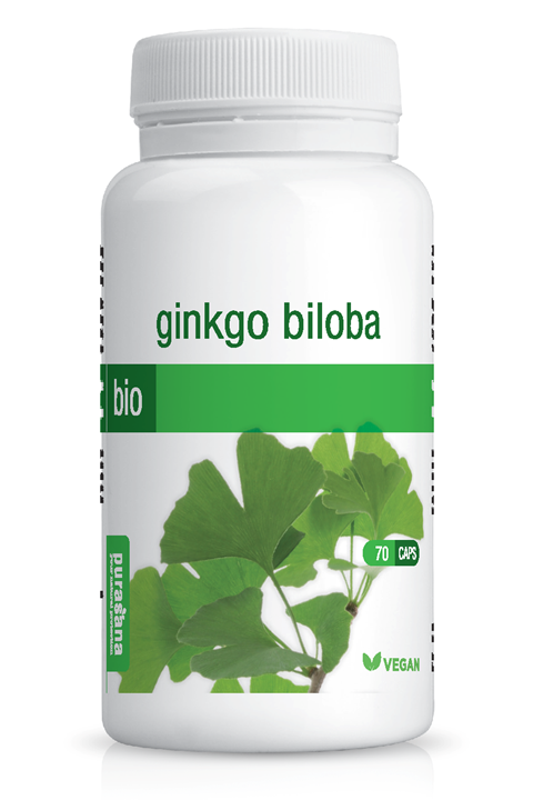 Ginkgo biloba