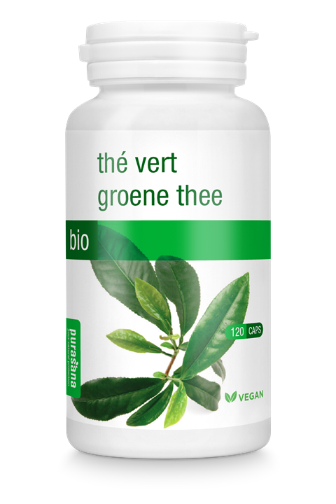 Groene Thee Extract