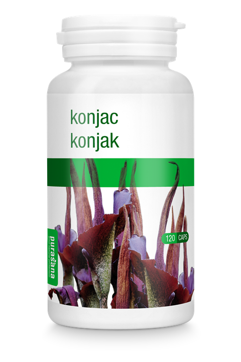 Konjak