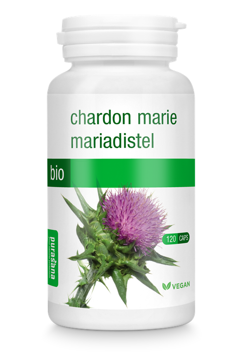 Mariadistel