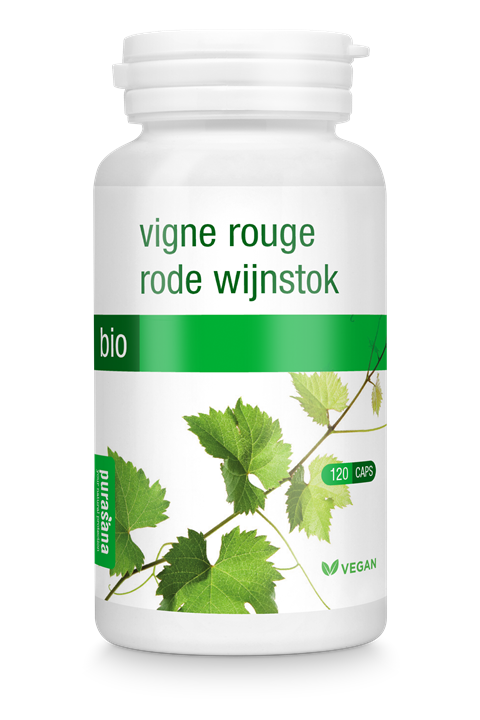 Rode wijnstok