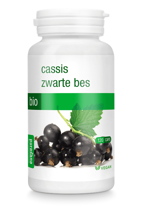 Zwarte bes