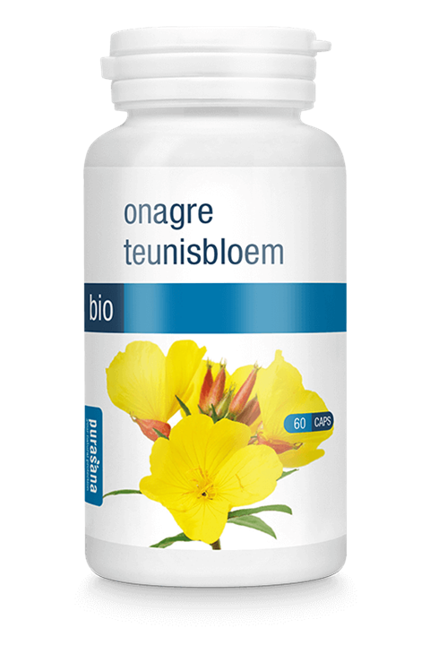 Teunisbloem