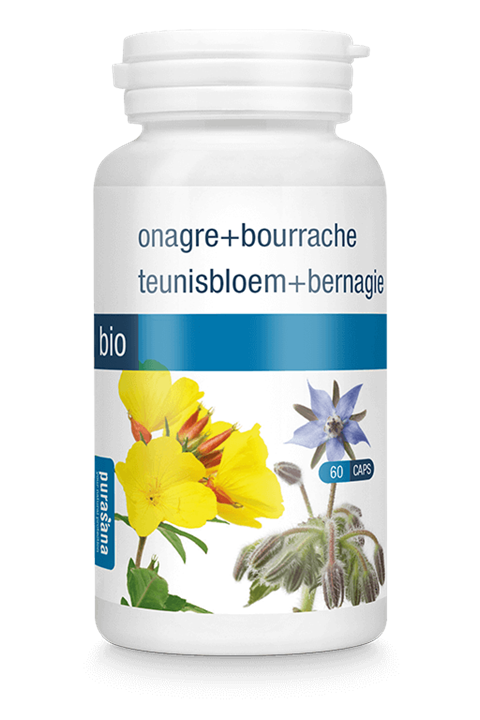 Teunisbloem & Bernagie