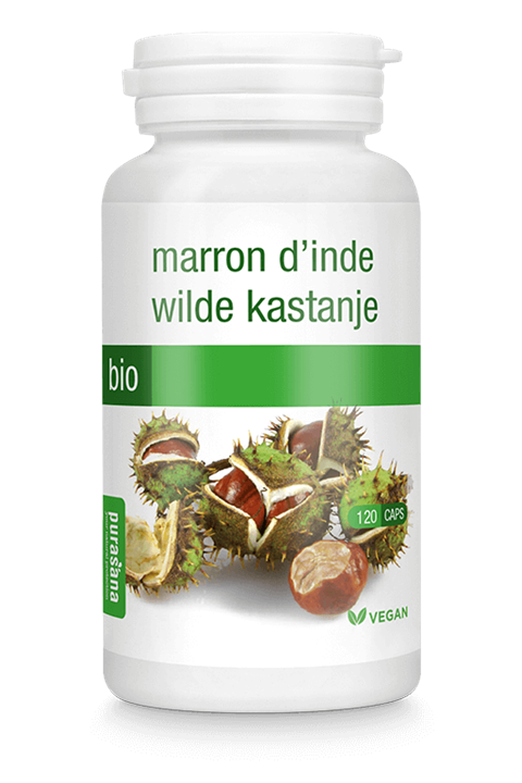 Wilde kastanje