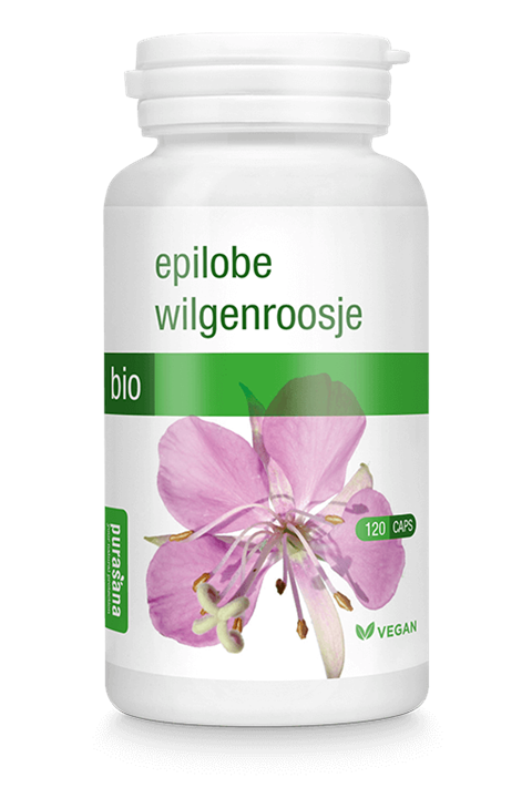 Wilgenroosje